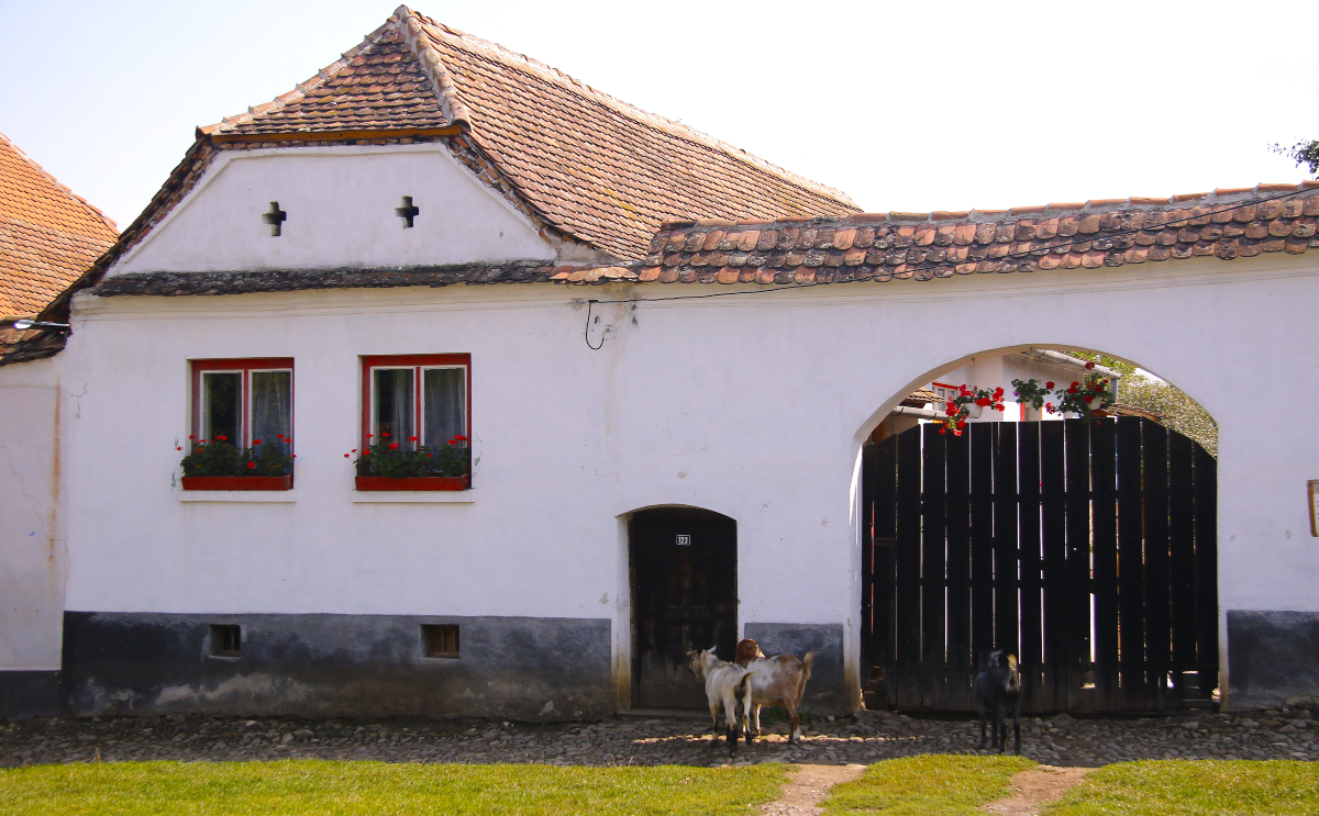 House Viscri village