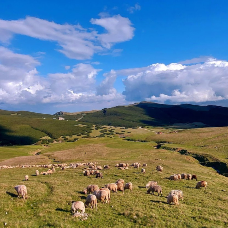 Transylvania Tours