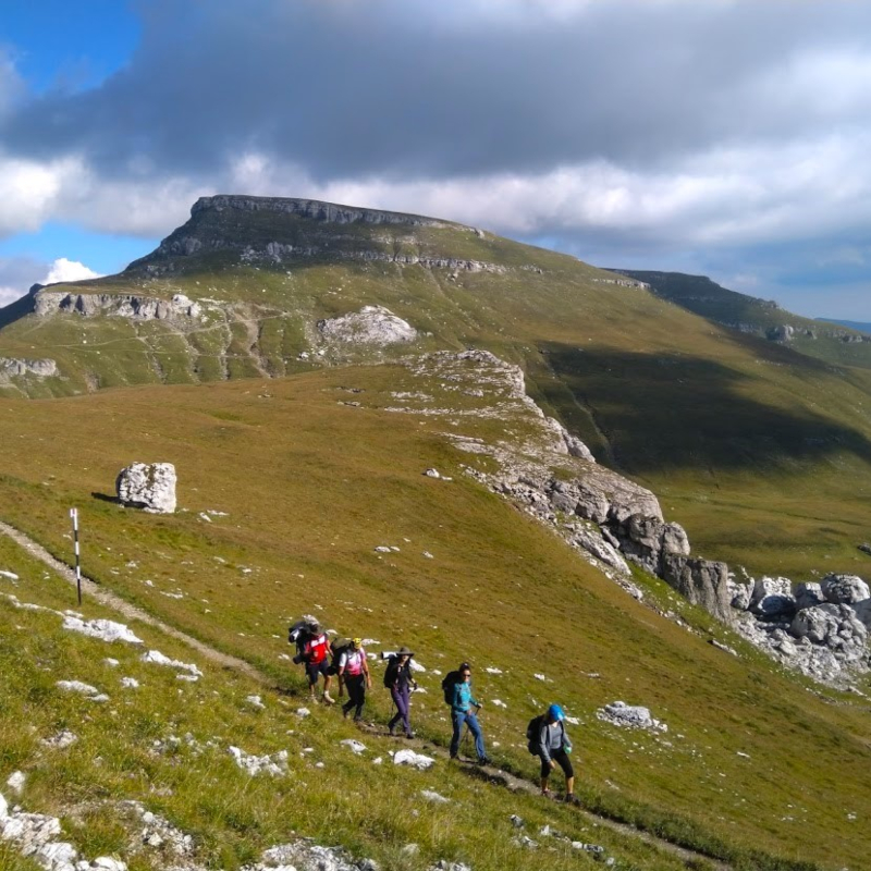 Transylvania Tours