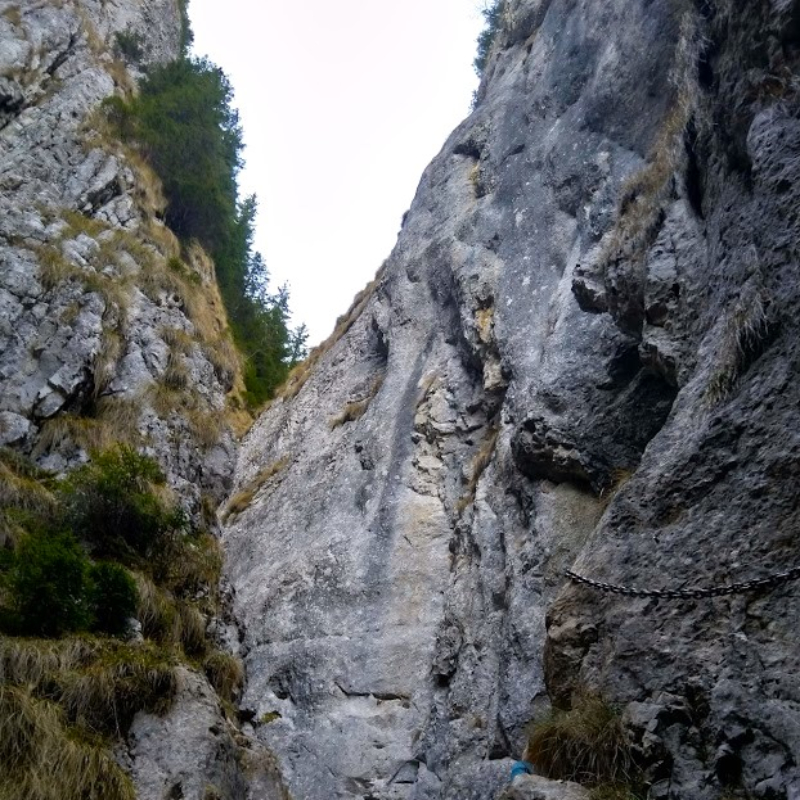 Transylvania Tours