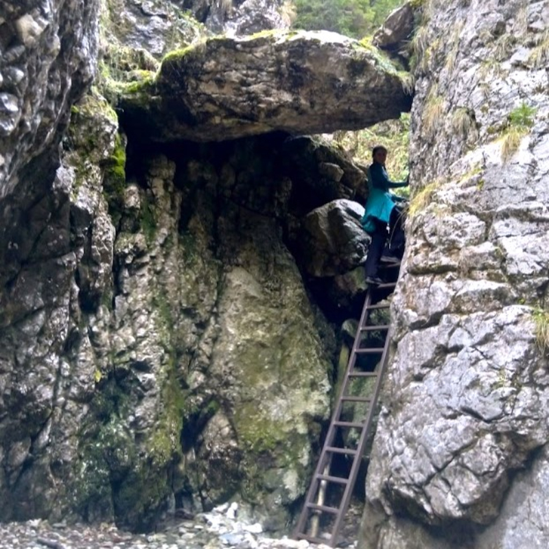 Transylvania Tours
