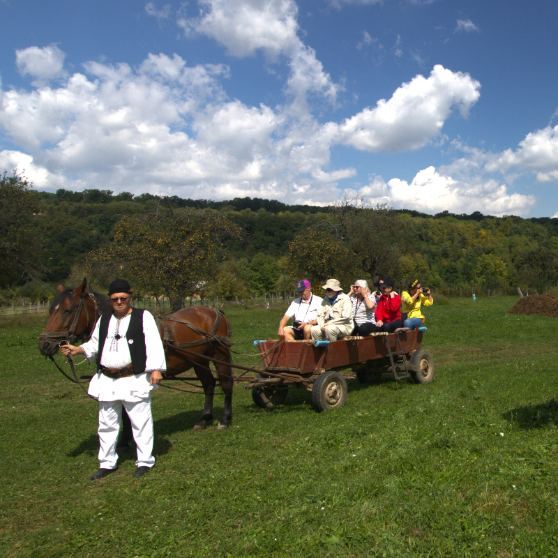 Transylvania Tours