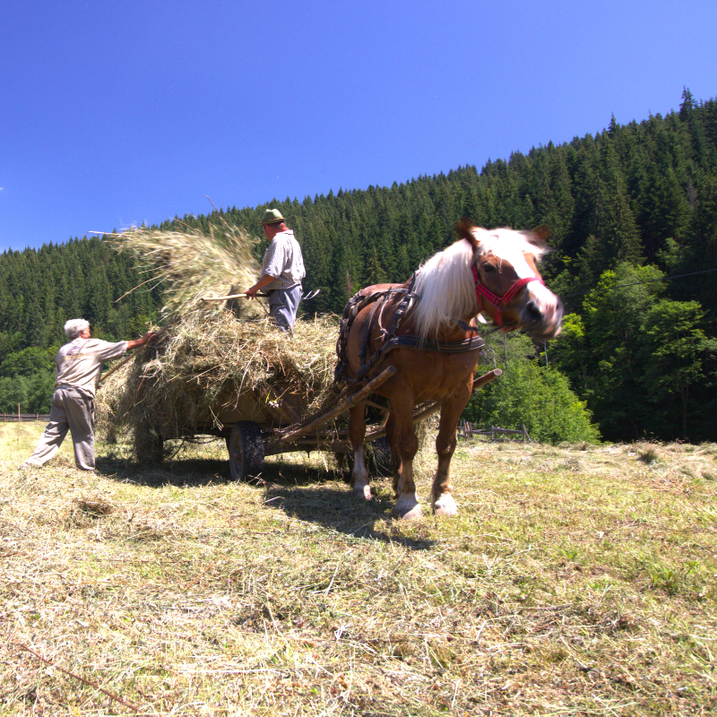 Transylvania Tours