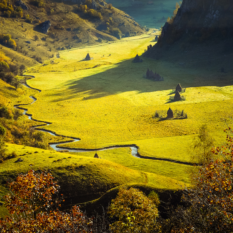 Transylvania Tours