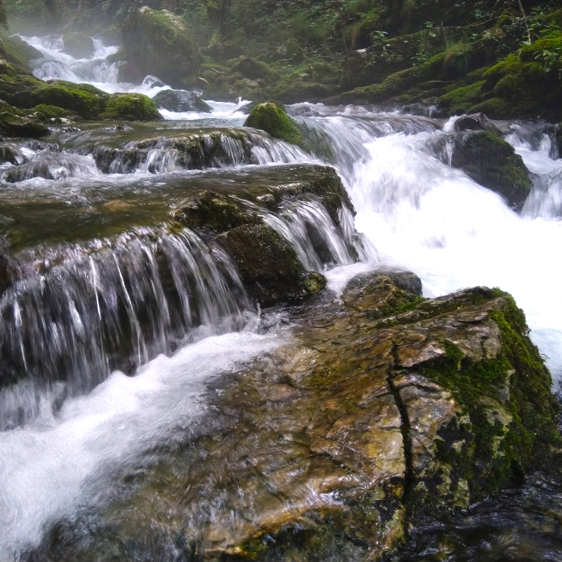 Transylvania Tours