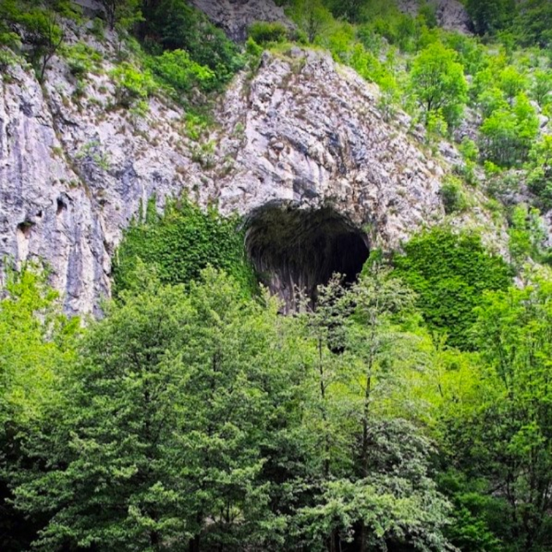 Transylvania Tours