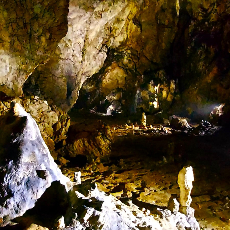 Transylvania Tours