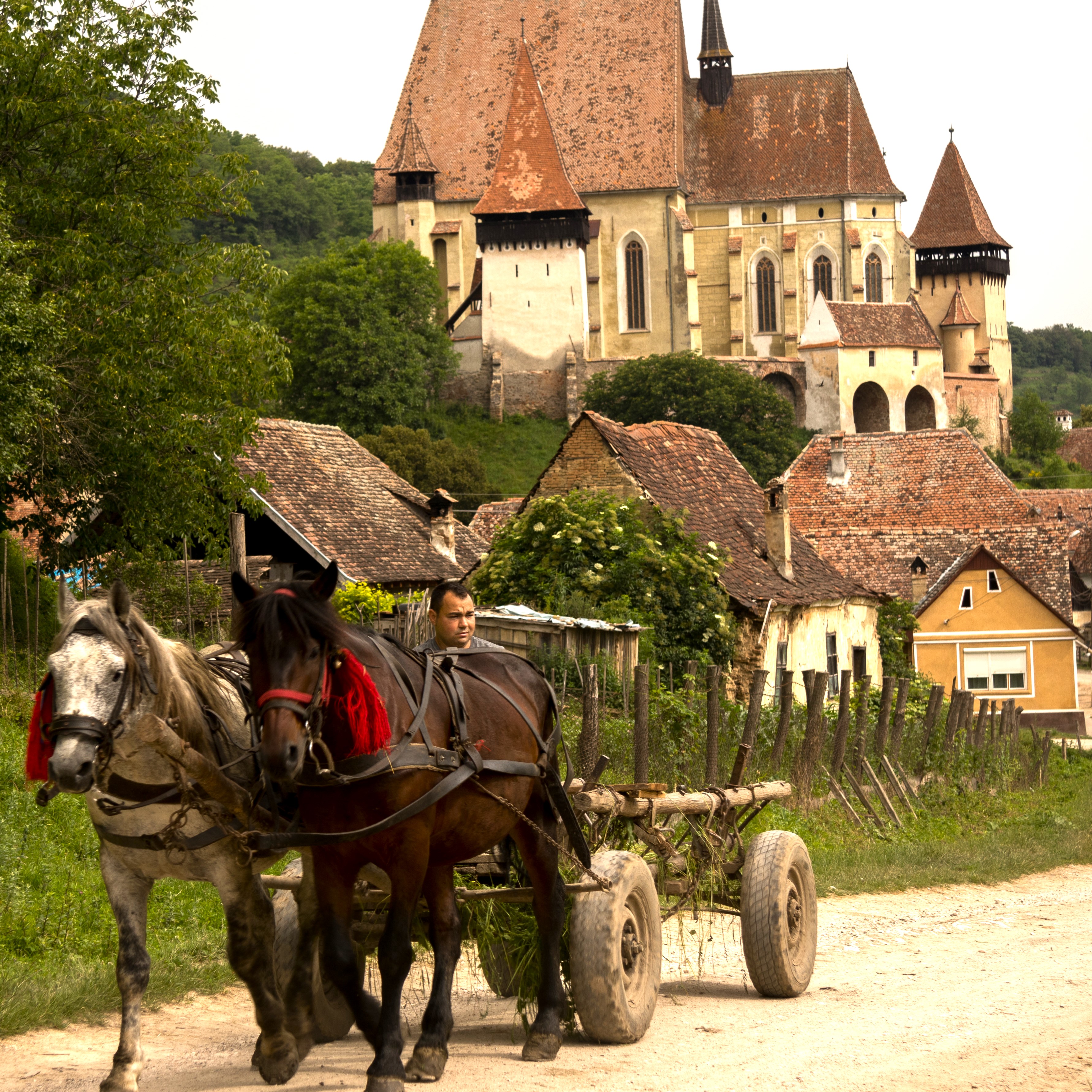 Transylvania Tours