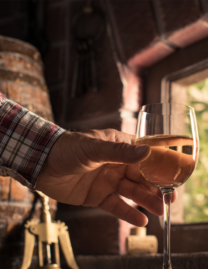 Profound Romania with its best wines
