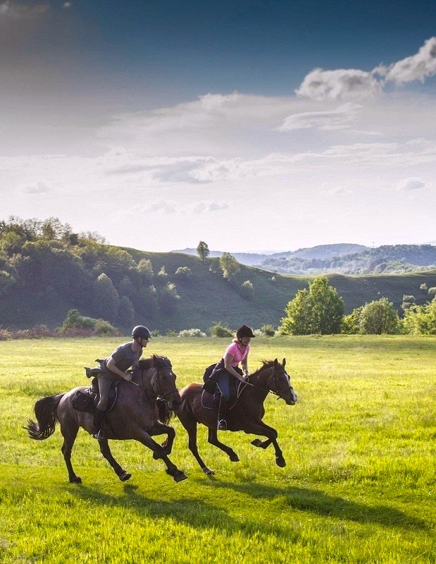 Transylvanian Equestrian Encounter. Day trip from Sibiu