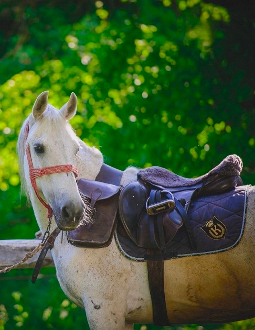 Horseback in the hills of Transylvania - a medieval experience