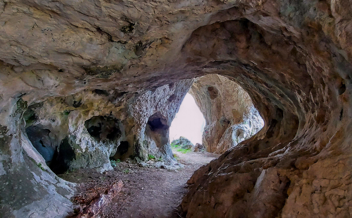 Transylvania Tours