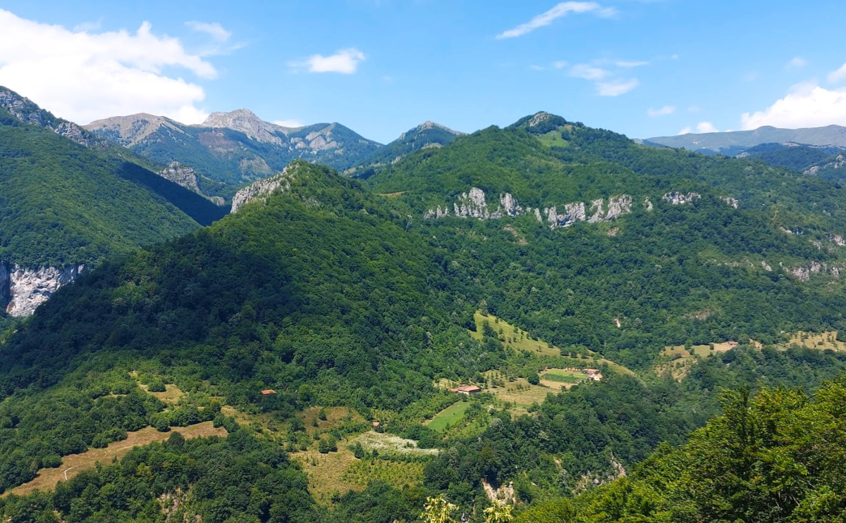 Transylvania Tours