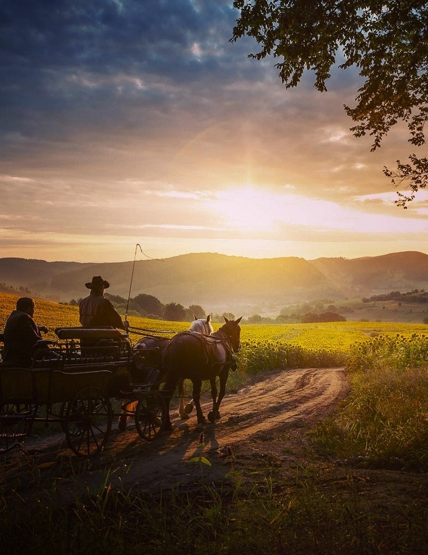 https://www.transylvania.nordic.ro/files/pages/475_Valea_verde_landscape_Up.jpg