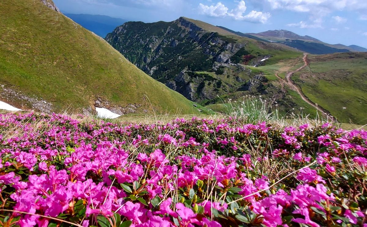 Trekking and caving in the mythological Bucegi Mountains
